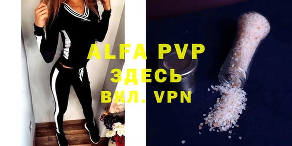 дживик Инта